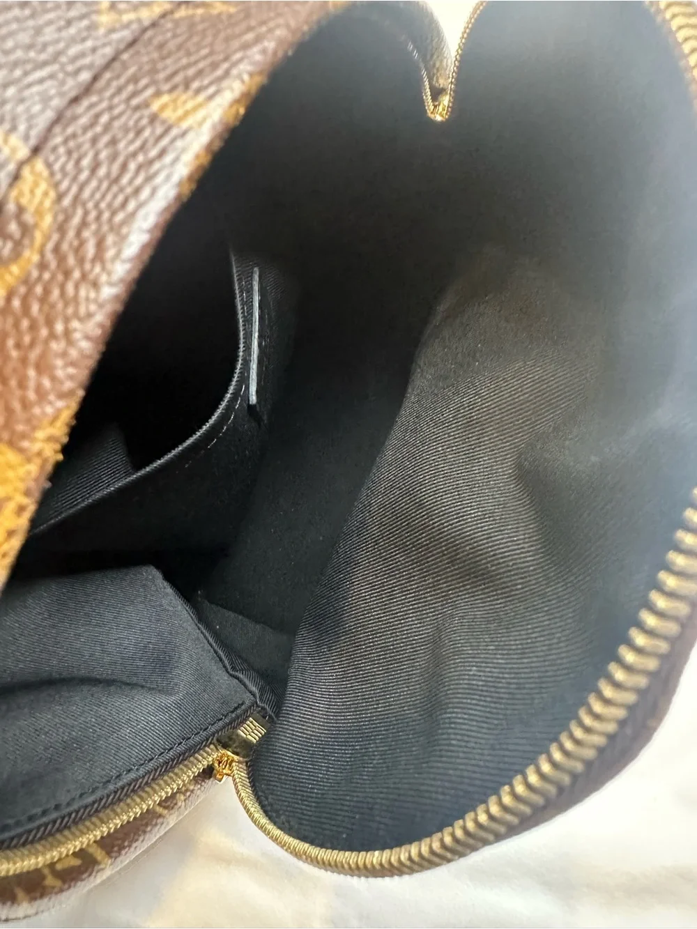 Louis Vuitton Palm Springs PM Backpack